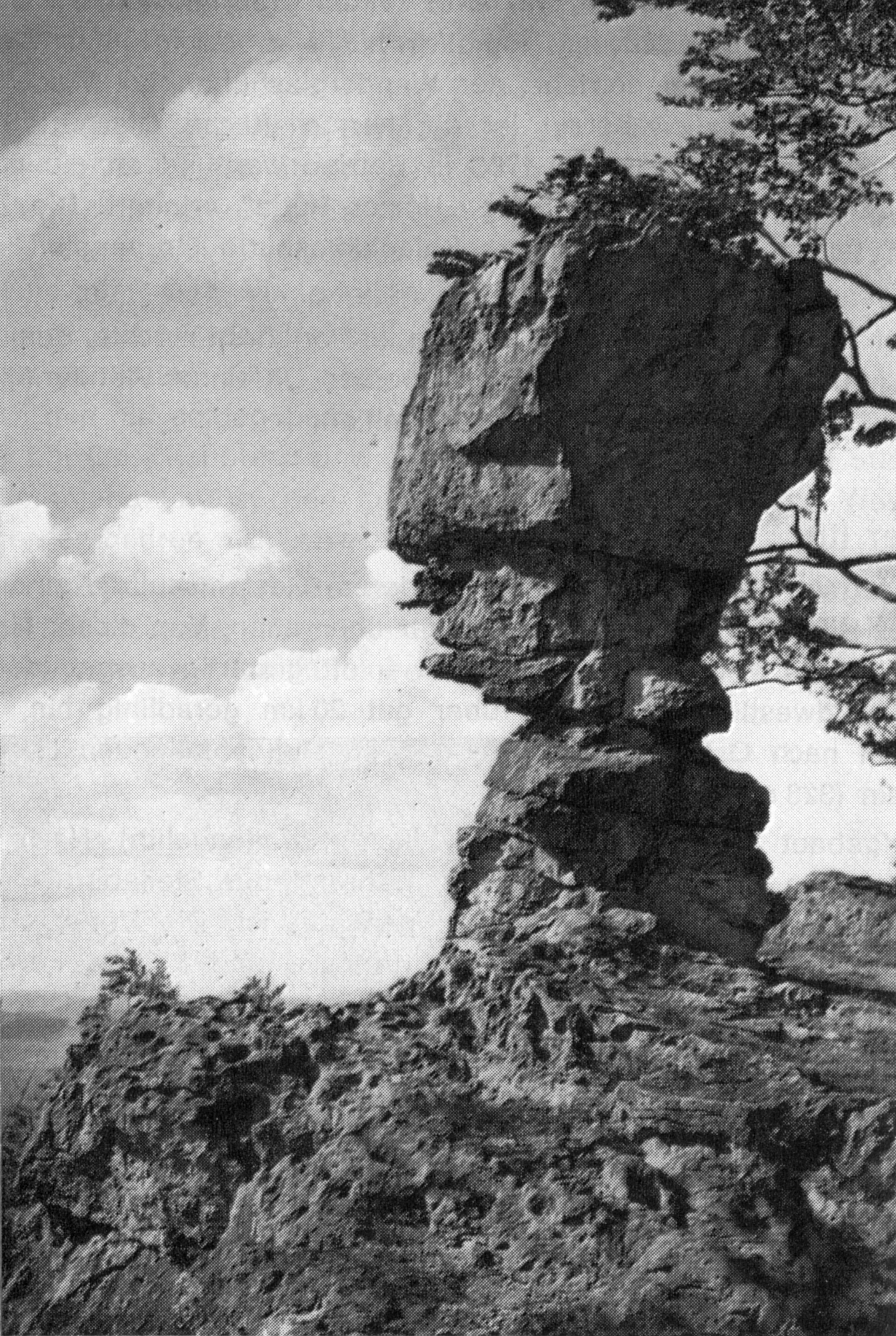 Der Kelchstein